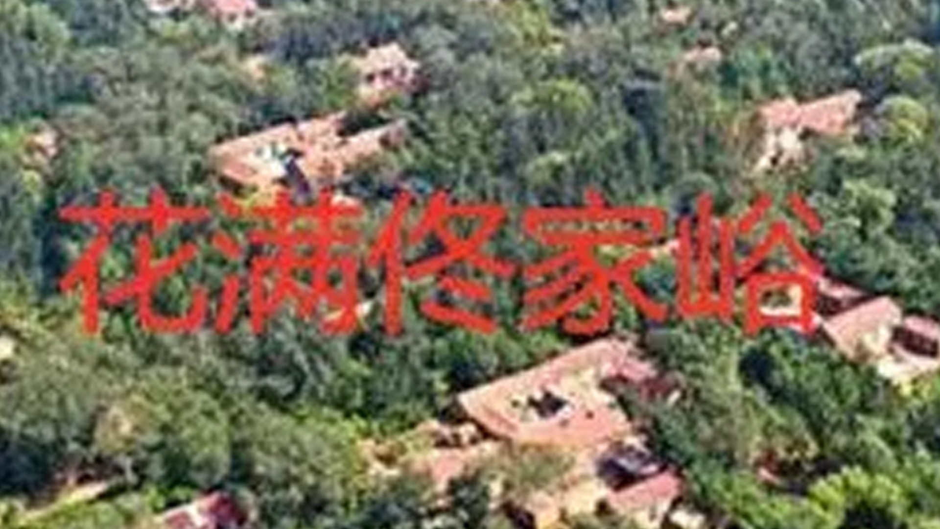 电影：花满佟家峪