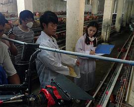 电影：我和教授“羊粪豆”