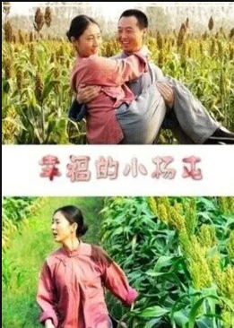 电影：幸福的小杨屯