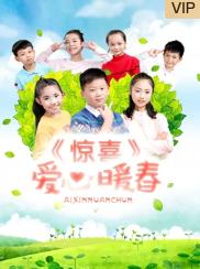 电影：惊喜·爱心暖春