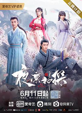 电影:夜凛神探 第一季