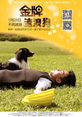电影：金牌流浪狗