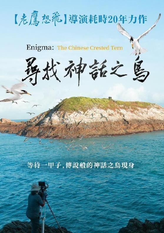 电影：寻找神话之岛