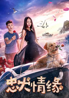 电影:忠犬情缘