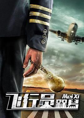 电影:飞行员呆呆鸟