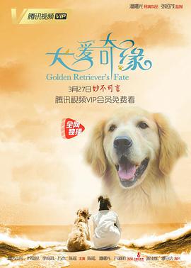 电影:犬爱奇缘