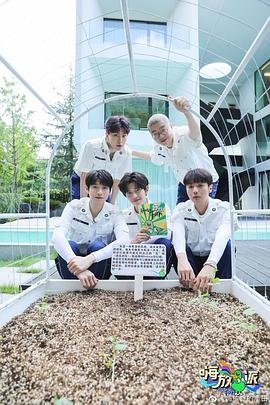 电影：嗨放派第二季