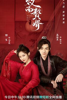 电影：双面赘婿第二季