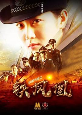 电影：纵横千里之铁凤凰