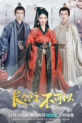电影：长公主不可以