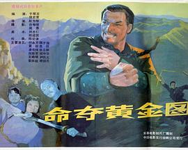 电影：命夺黄金图
