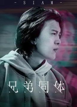 电影：兄弟同体