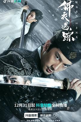 电影：锦衣迷踪