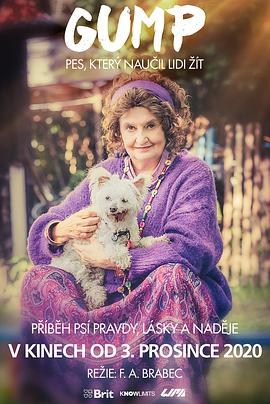 电影：流浪狗阿甘