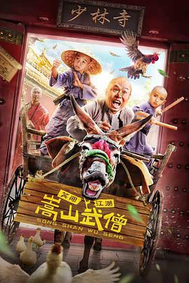 电影：嵩山武僧