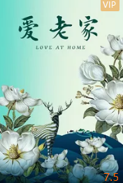 电影：爱·老家