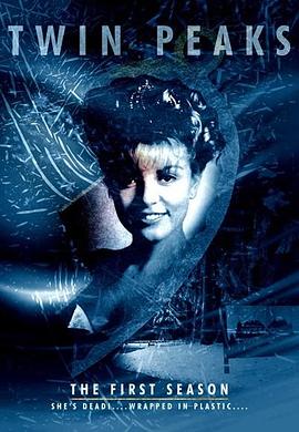 电影：双峰第一季