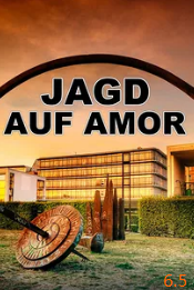 电影：寻找丘比特