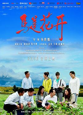 电影:马莲花开