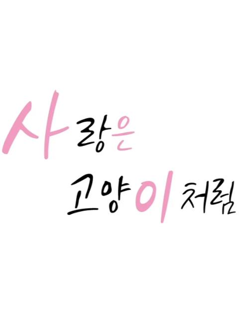 电影：爱像一只喵