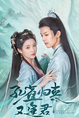 电影：孔雀圣使请动心