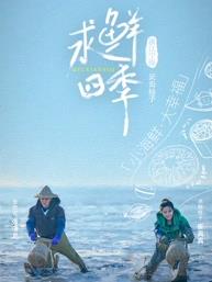 电影：求鲜四季