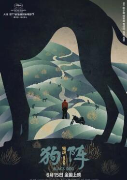 电影:狗阵