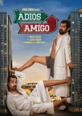 电影：再见，朋友2024