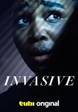 电影：入侵2024