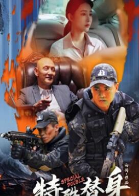 电影：特殊替身