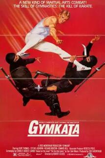 电影：忍者大扑杀