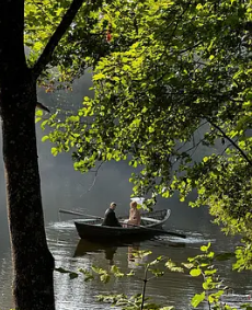 电影：玩具娃娃2024