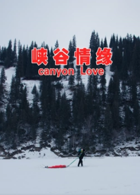 电影:峡谷情缘