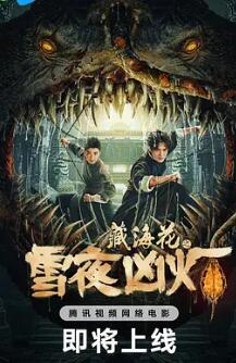 电影：藏海花之雪夜凶灯