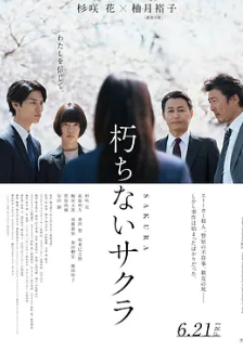 电影:不朽的樱花