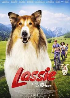 电影:灵犬莱西:新冒险