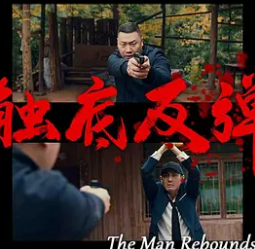 电影:触底反弹2024