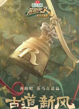 电影:奔跑吧·茶马古道篇