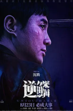电影：逆鳞2024