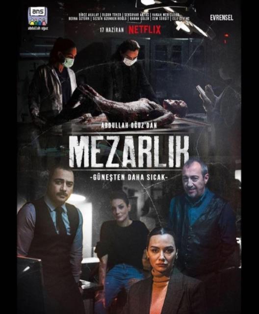 电影:摧花谜墓第二季