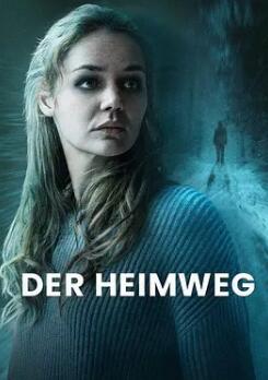 电影:回家的路2024