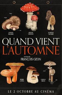 电影:秋日何时来