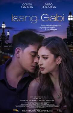 电影：一夜风流2024