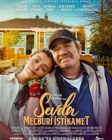 电影：爱的强制方向