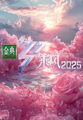 电影:乘风2025