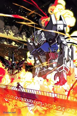 电影:机动战士高达SEEDHD重制