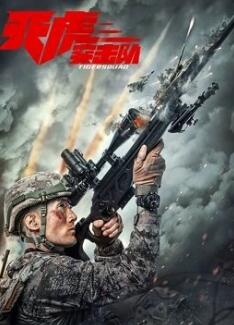 电影:天虎突击队