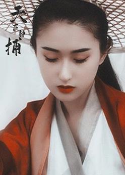 电影：天下神捕