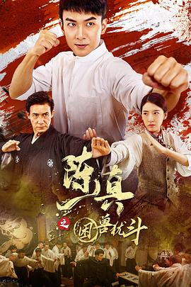电影:陈真之困兽犹斗