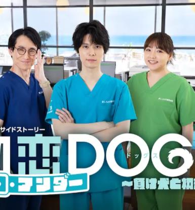 电影:初恋UNDERDOGs~败犬与初恋~
